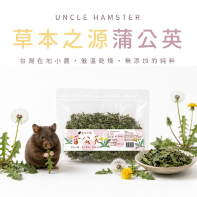 草本之源-蒲公英