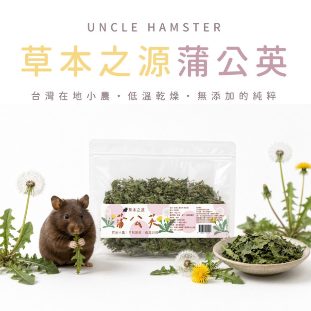 草本之源-蒲公英