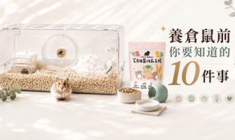 新手養倉鼠前必看｜飼養倉鼠一定要知道的 10 件事，新手入門完整指南