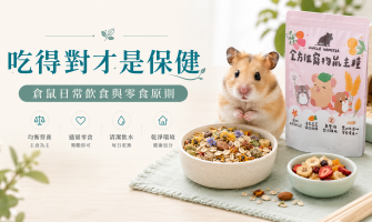 吃得對才是保健：倉鼠日常飲食與零食原則